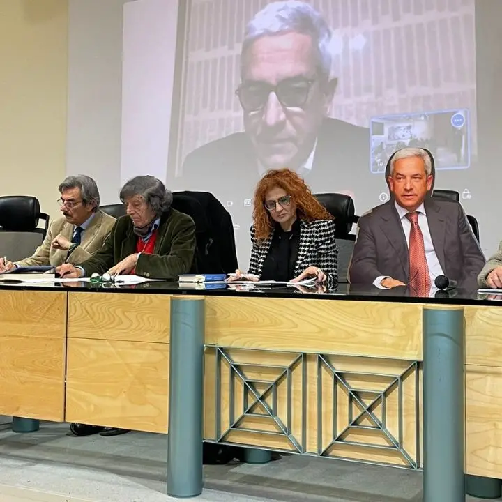 Rende, la \"sagoma\" di Manna in sala per protestare contro i giudici