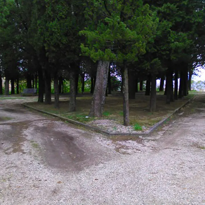 Cosenza, la proposta della commissione Cultura: il Parco delle Rimembranze diventi il Parco dei Giusti
