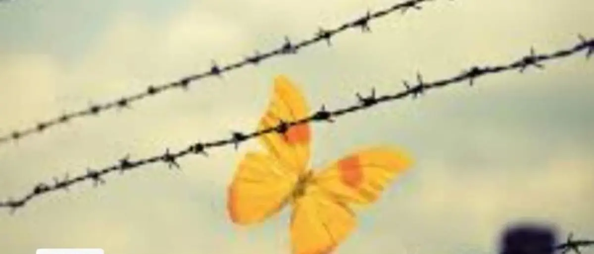 Trebisacce, il sindaco commemora le vittime dell'Olocausto