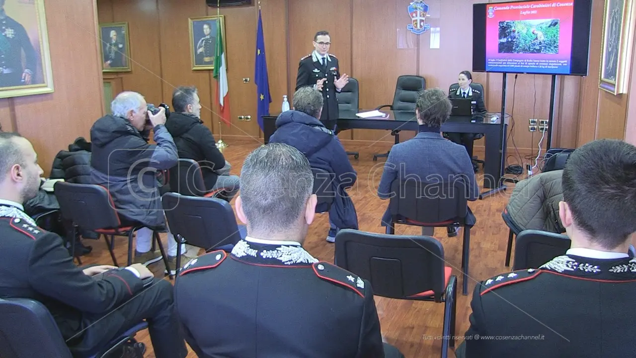 Cosenza, arresti in aumento in provincia: 722 in un anno. Crescono anche atti incendiari e violenza di genere