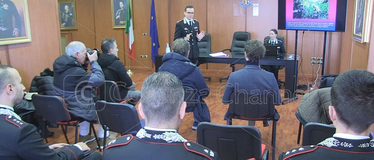 Cosenza, arresti in aumento in provincia: 722 in un anno. Crescono anche atti incendiari e violenza di genere