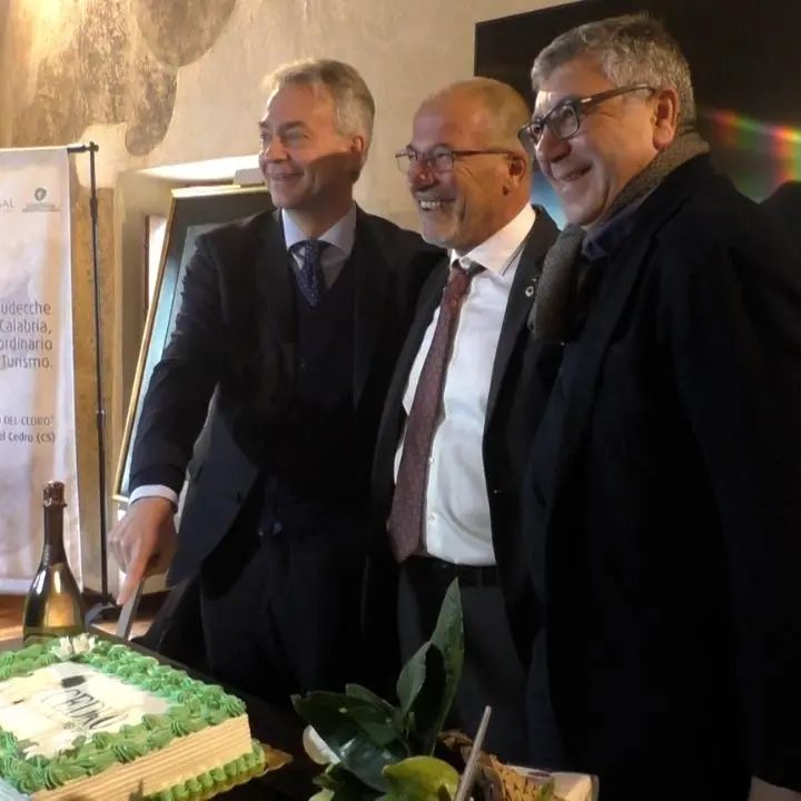 Santa Maria del Cedro, festa grande per il marchio Dop del Cedro di Calabria