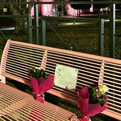Rende, una panchina rosa a sostegno della lotta al cancro | VIDEO