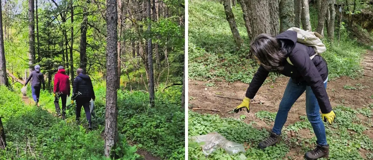 Camigliatello Plogging Mania, ecco il progetto ambientale per proteggere le bellezze della Sila