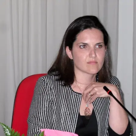 Amantea, il Tar sospende richiesta di pagamento del Demanio di oltre 4 milioni di euro