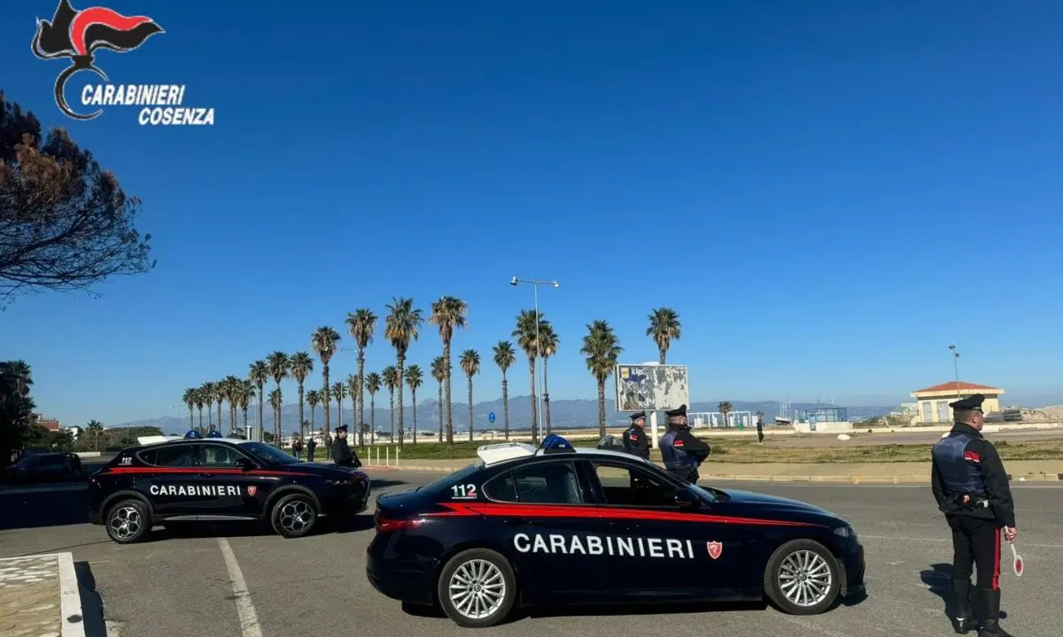 Era ai domiciliari ma deteneva droga: pregiudicato arrestato a Crosia