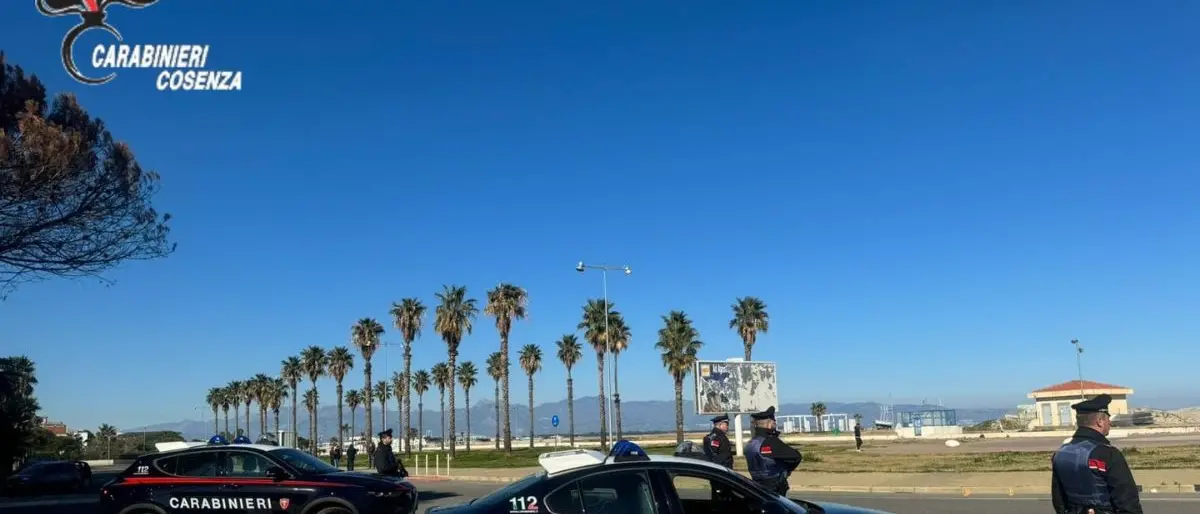 Era ai domiciliari ma deteneva droga: pregiudicato arrestato a Crosia