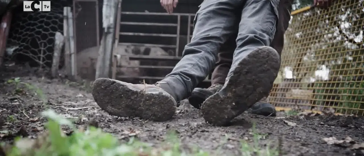Ucciso e dato in pasto ai maiali: il feroce omicidio raccontato da Simone Pepe | AUDIO