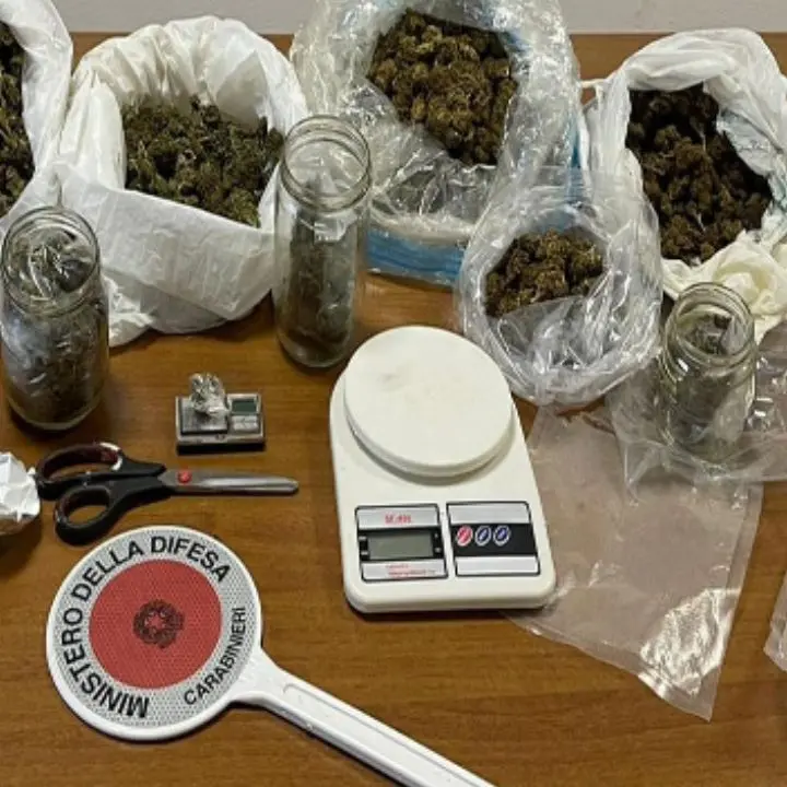 Mirto Crosia, sequestrato un grosso carico di marijuana