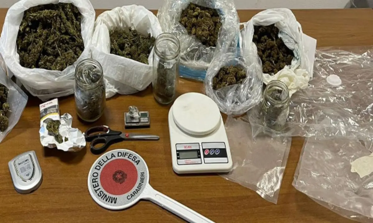 Mirto Crosia, sequestrato un grosso carico di marijuana