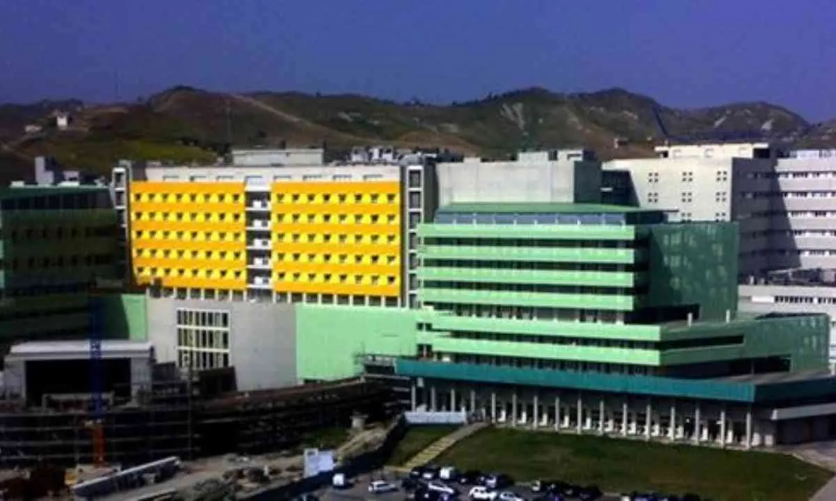Lavorava contemporaneamente in ospedale e come insegnante violando la normativa: tre indagati