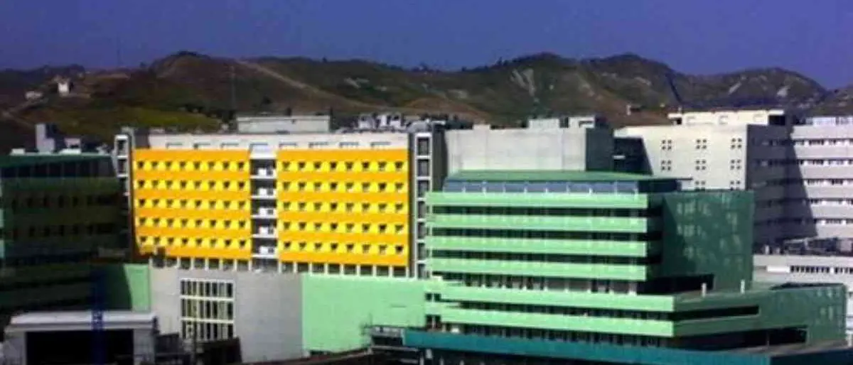 Lavorava contemporaneamente in ospedale e come insegnante violando la normativa: tre indagati