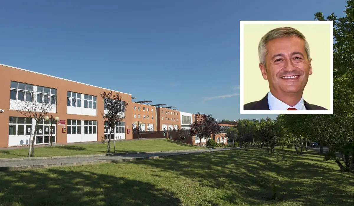 Università della Calabria, il professore Stefano Curcio riconfermato direttore del Dimes
