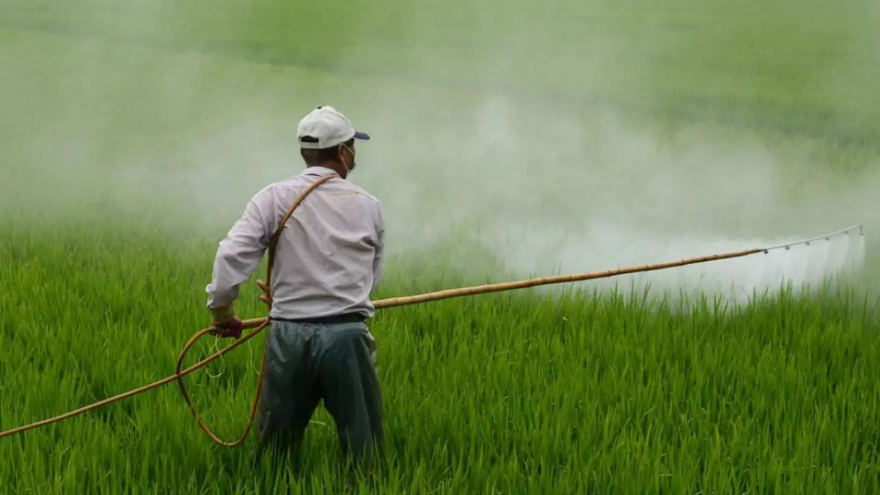 Lavoratori degli impianti irrigui silani senza stipendio da mesi: la denuncia dei sindacati