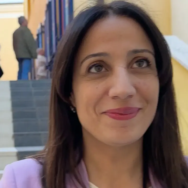 Regionali, Scutellà (M5S) al vetriolo: «Salvini, Meloni e Tajani i turisti della Calabria»\n