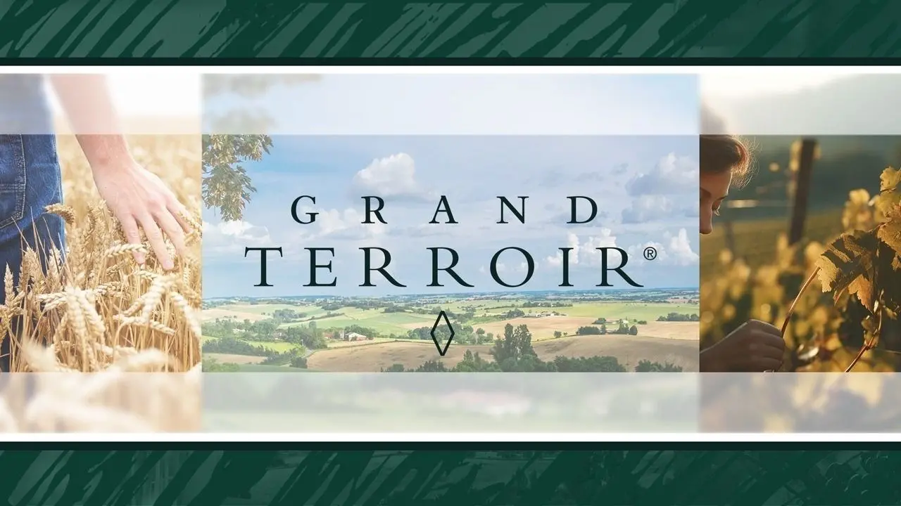 Grand Terroir fa il suo esordio a Vinitaly: è il nostro sistema ideato per connettere aziende, persone e territori