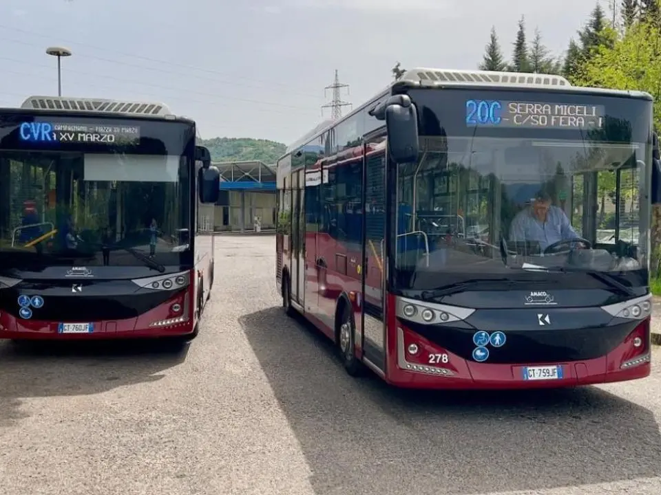 Crisi Amaco Cosenza, il Pd: «Riprendere il confronto tra le parti prima che sia troppo tardi»