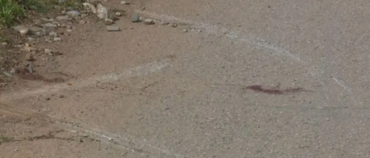 Duplice omicidio Scorza, per la difesa la verità è in un servizio tg: la Corte lo acquisisce