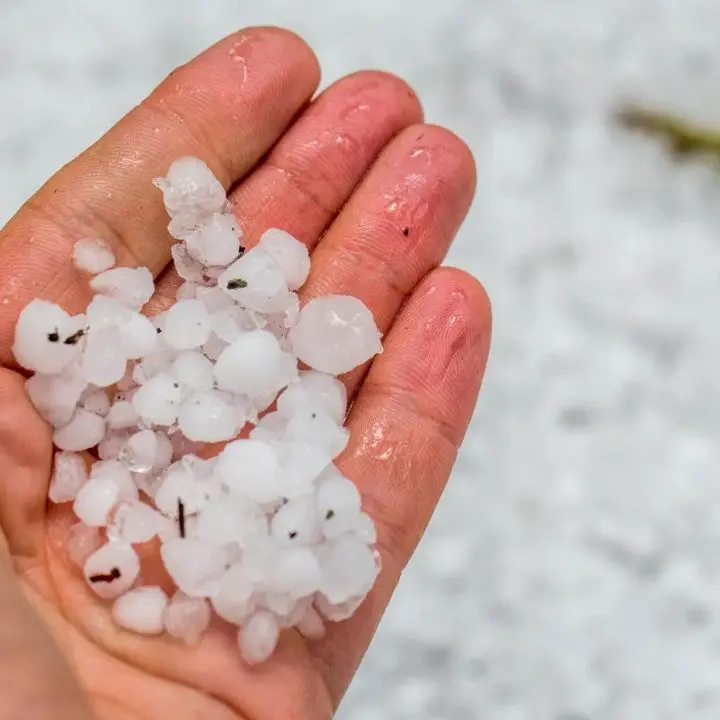 In Calabria diramata l'allerta gialla: in arrivo temporali e grandine