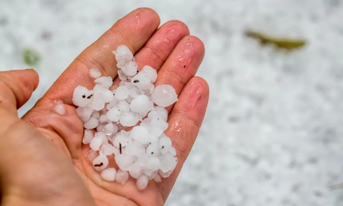 Meteo Cosenza: diramata l’allerta gialla. Già da stanotte violenti temporali e vento forte