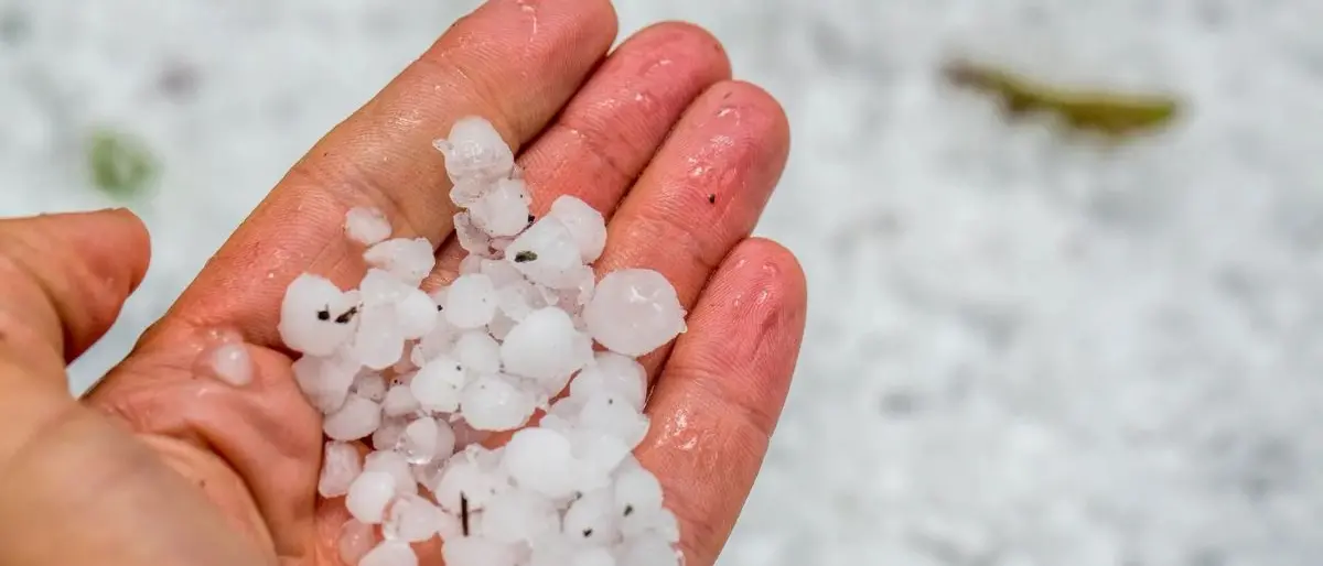 In Calabria diramata l'allerta gialla: in arrivo temporali e grandine