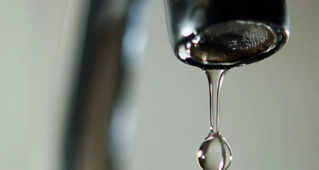 Schiavonea, Pasqualina Straface: «Intere zone della frazione sono senz’acqua»