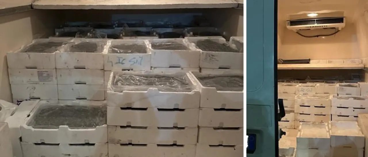 Blitz contro la pesca di frodo in provincia di Cosenza. Sequestrati 800 kg di novellame