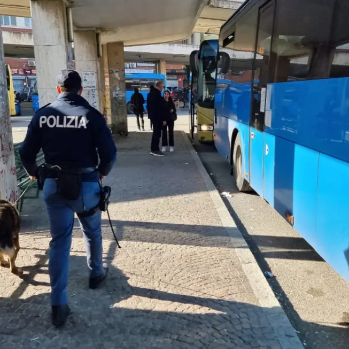 Autostazione di Cosenza, Confail Faisa chiede un presidio fisso delle forze dell’ordine\n
