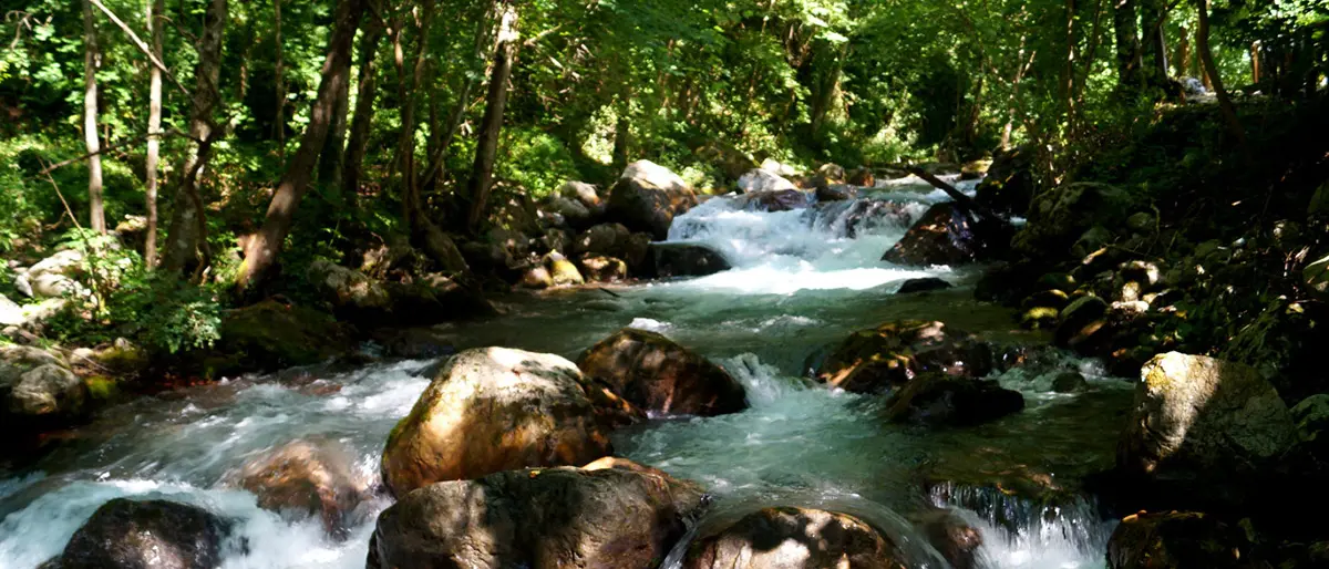 Pasquetta, arte natura a Cosenza e provincia. Ecco dove andare