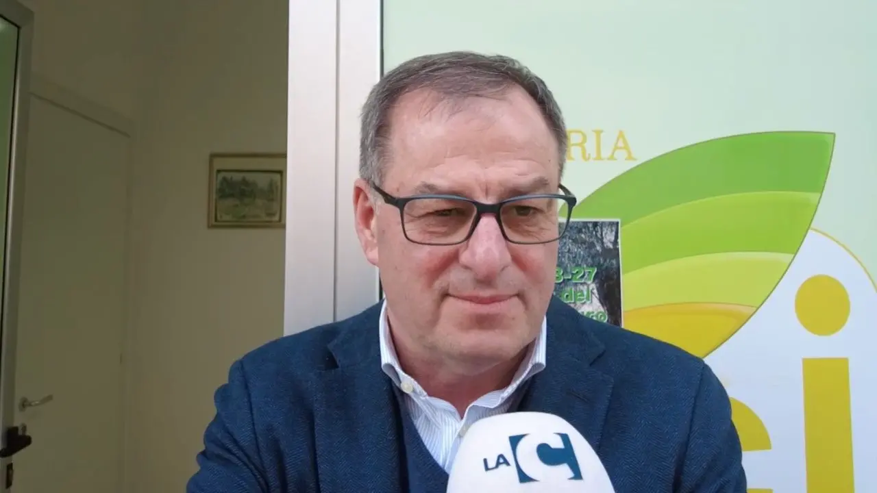 La nuova Pac 23-27: Orientamenti e prospettive per l'agricoltura italiana