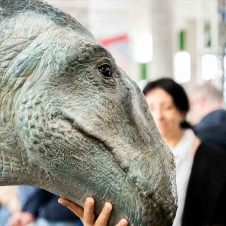 Pensa Tu: in arrivo a Rende la terza edizione del Festival della Scienza