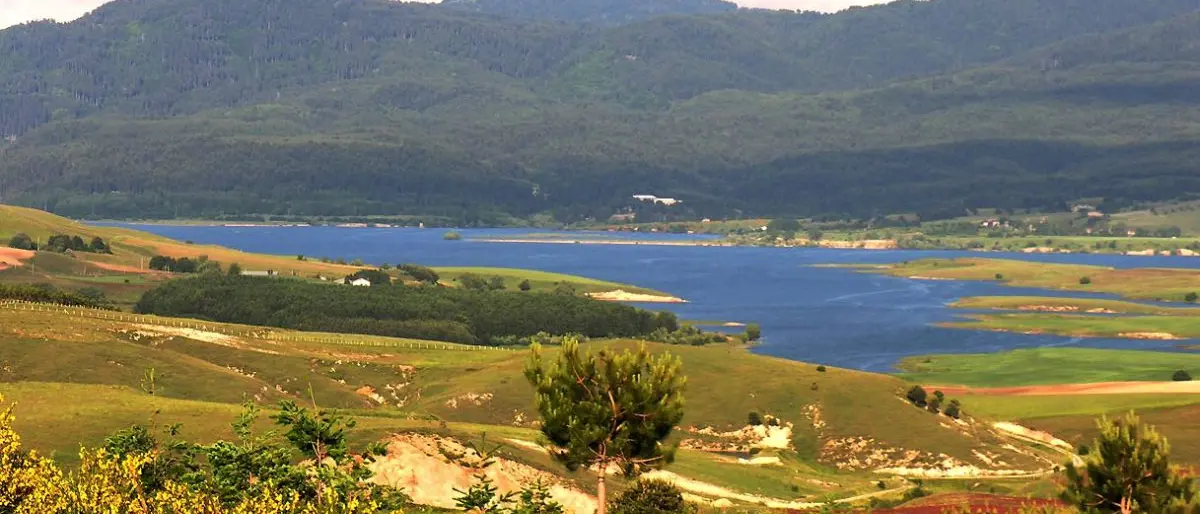 Le mani della 'ndrangheta sul Parco Nazionale della Sila: le riunioni tra i confederati cosentini e i cirotani