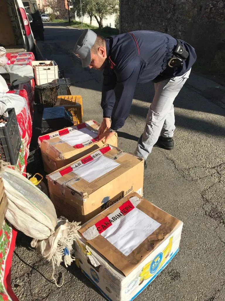 San Benedetto Ullano, sequestrati 150 chili di prodotti alimentari