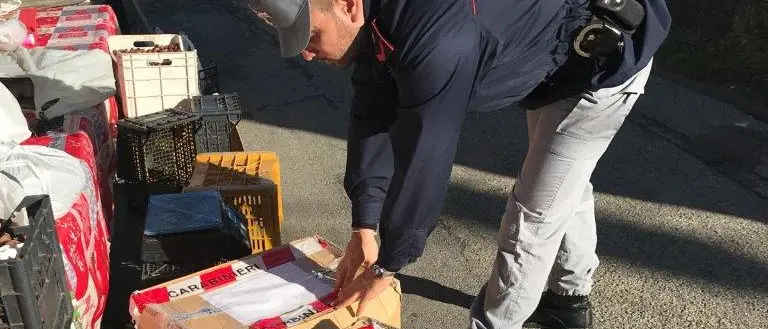 San Benedetto Ullano, sequestrati 150 chili di prodotti alimentari