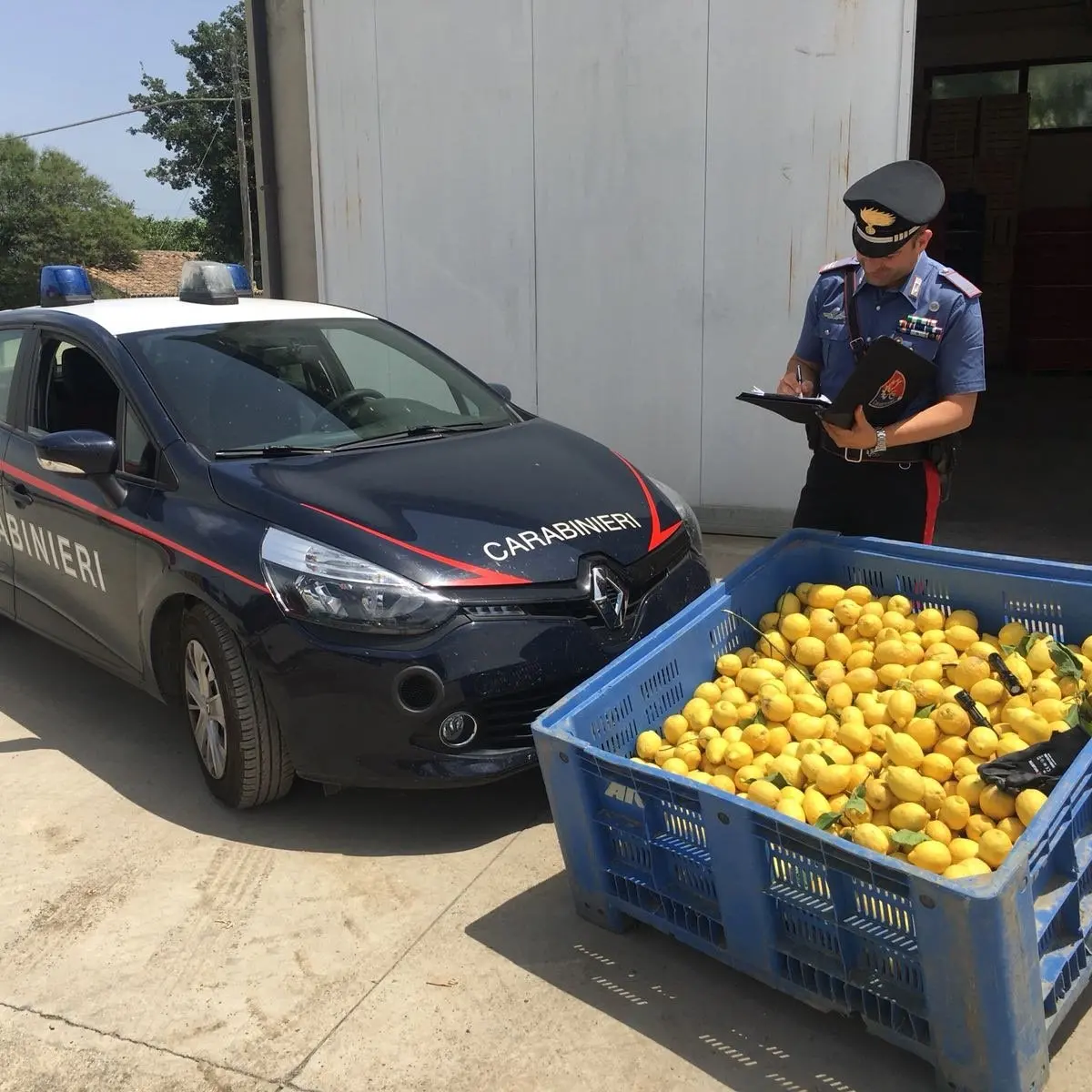 Rocca Imperiale e San Demetrio Corone, ladri in azione: quattro arresti dei carabinieri