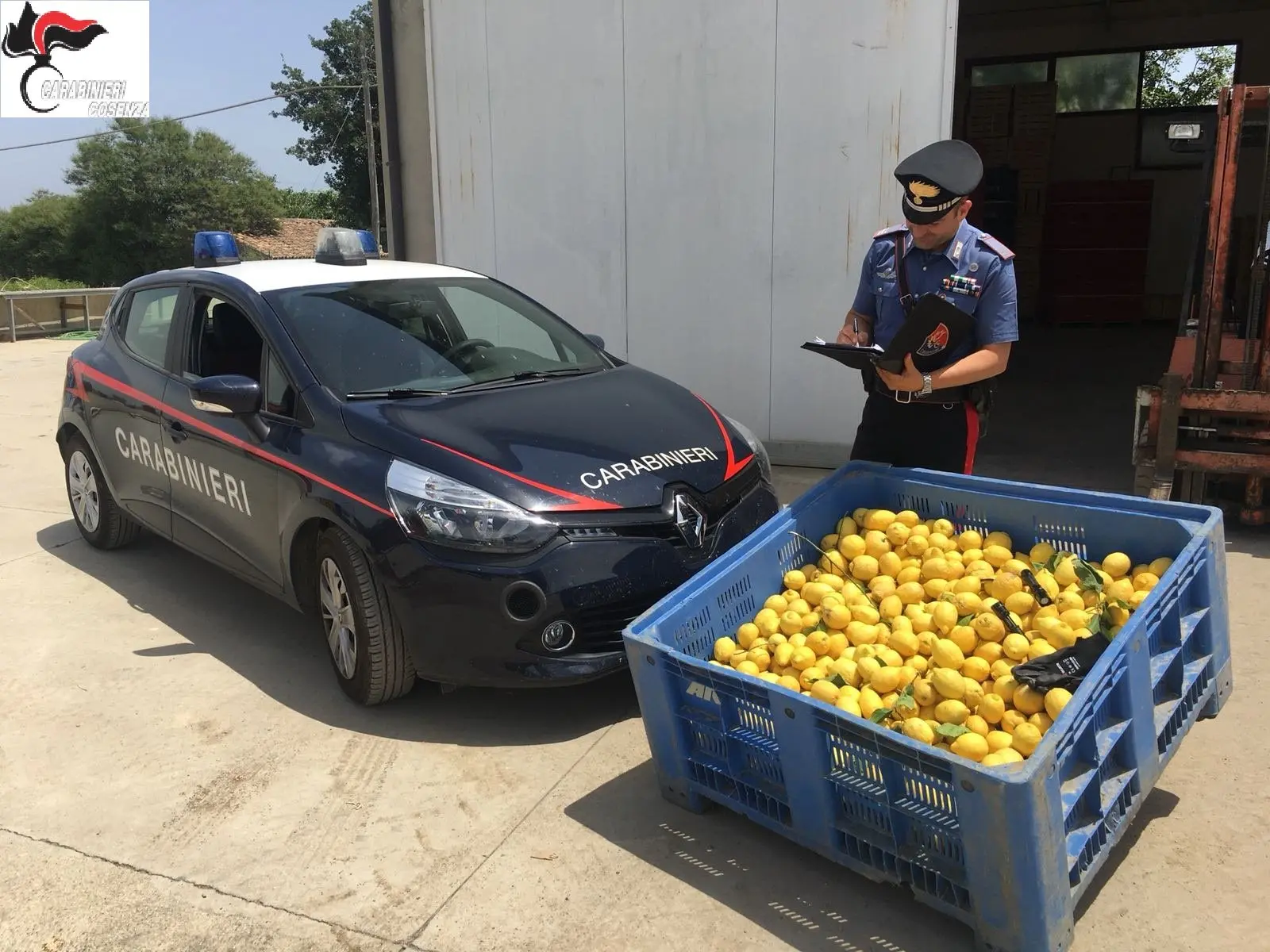 Rocca Imperiale e San Demetrio Corone, ladri in azione: quattro arresti dei carabinieri