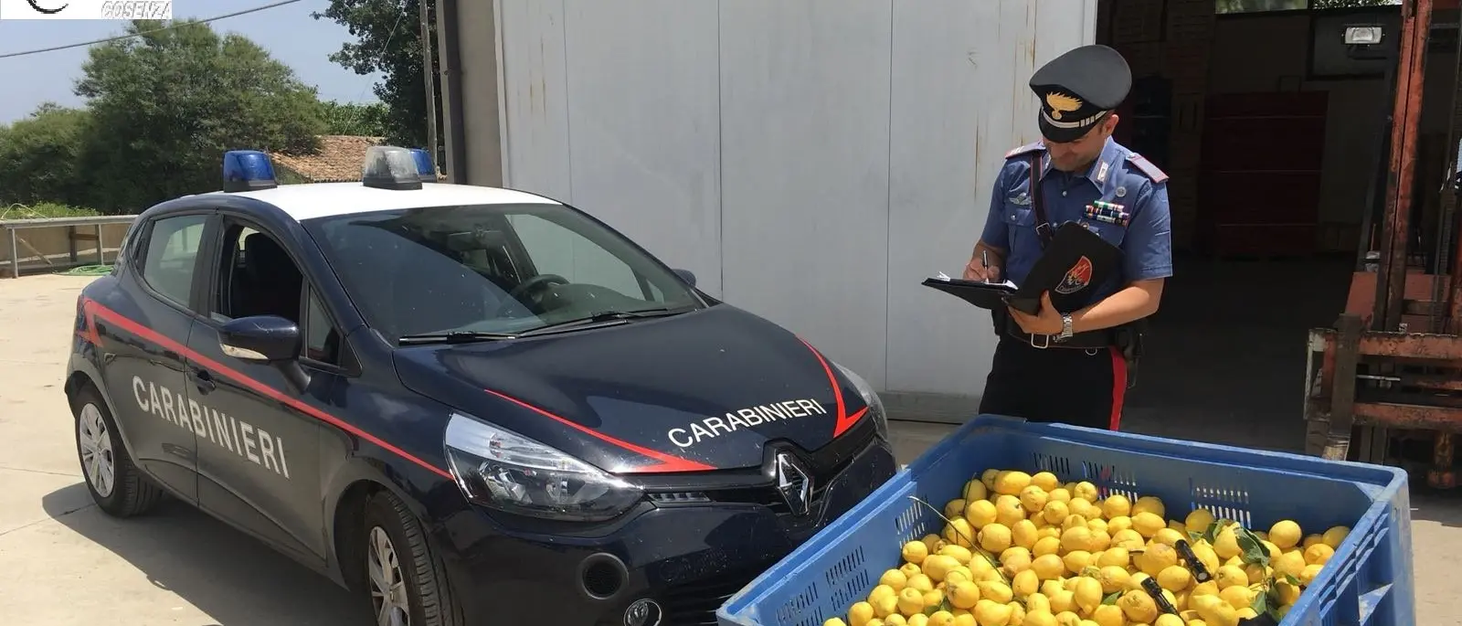 Rocca Imperiale e San Demetrio Corone, ladri in azione: quattro arresti dei carabinieri