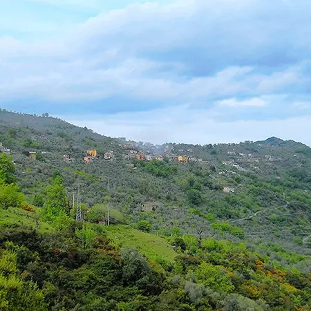 Il Parco Nazionale della Sila candidato come patrimonio dell'Unesco