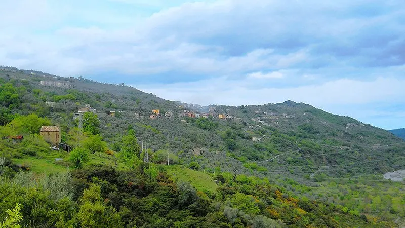 Il Parco Nazionale della Sila candidato come patrimonio dell'Unesco