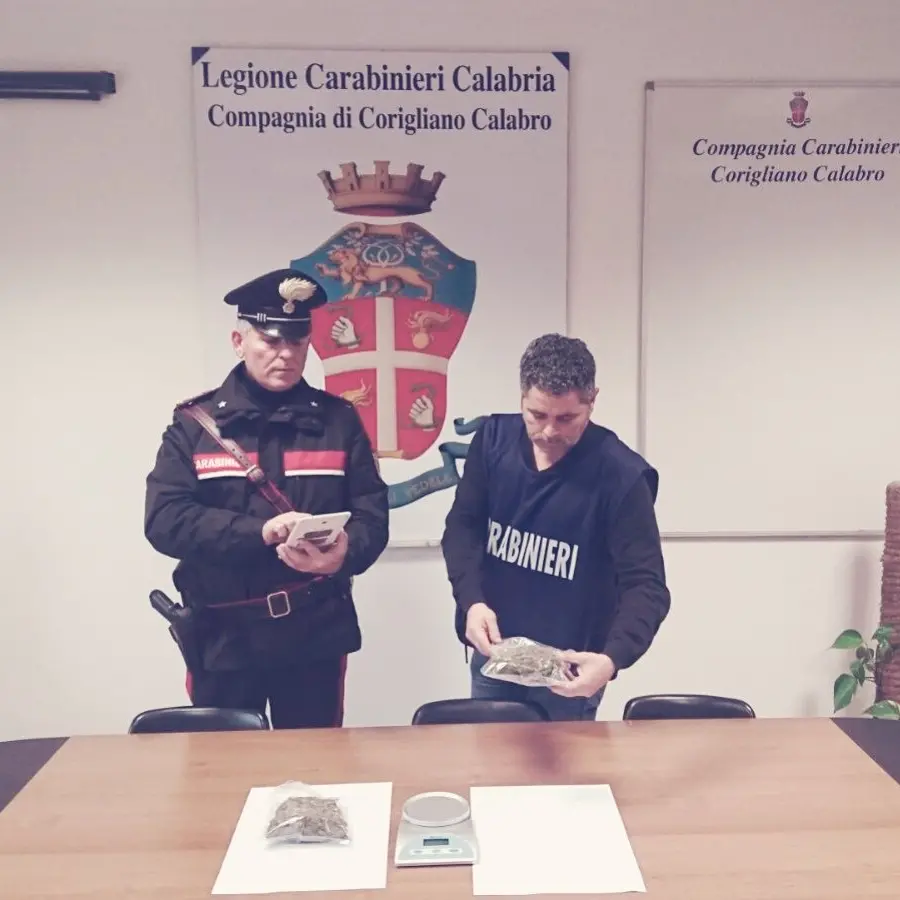 Corigliano, arrestato un pregiudicato: nascondeva in casa la marijuana