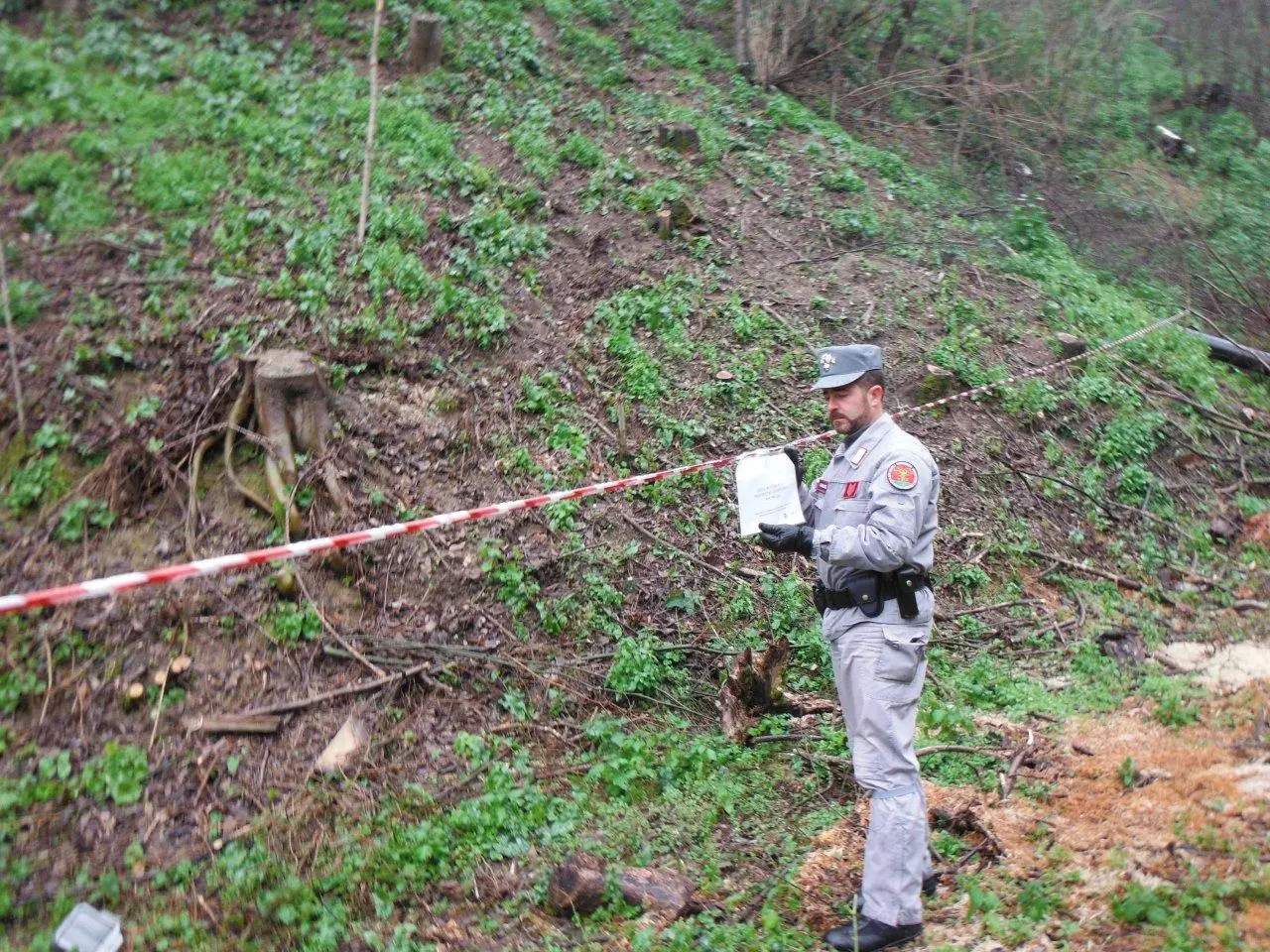 Acri, taglio abusivo: due denunce dei carabinieri Forestali