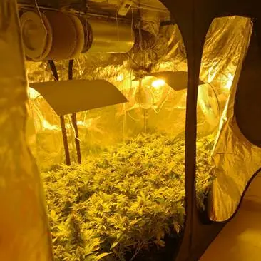 Paola, 24enne trasforma una stanza di casa in una centrale di droga [FOTO]