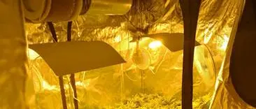 Paola, 24enne trasforma una stanza di casa in una centrale di droga [FOTO]