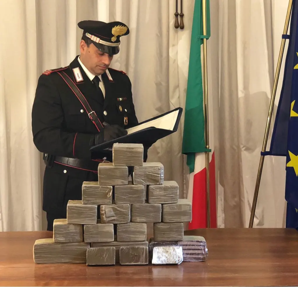 Madre e figlio accusati di spaccio di droga, arriva la decisione del gip di Cosenza