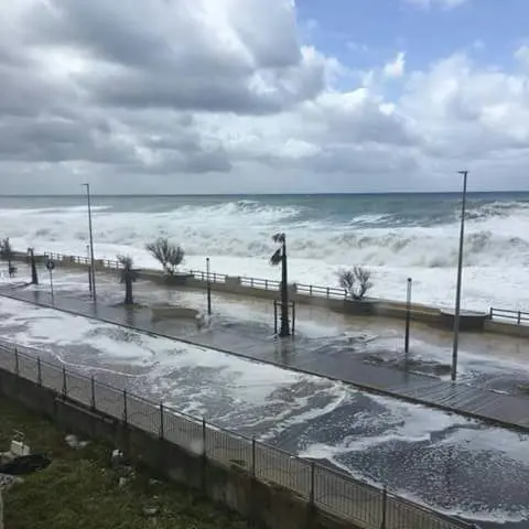 New York \"chiama\" Cetraro: parte la raccolta fondi dopo la tempesta