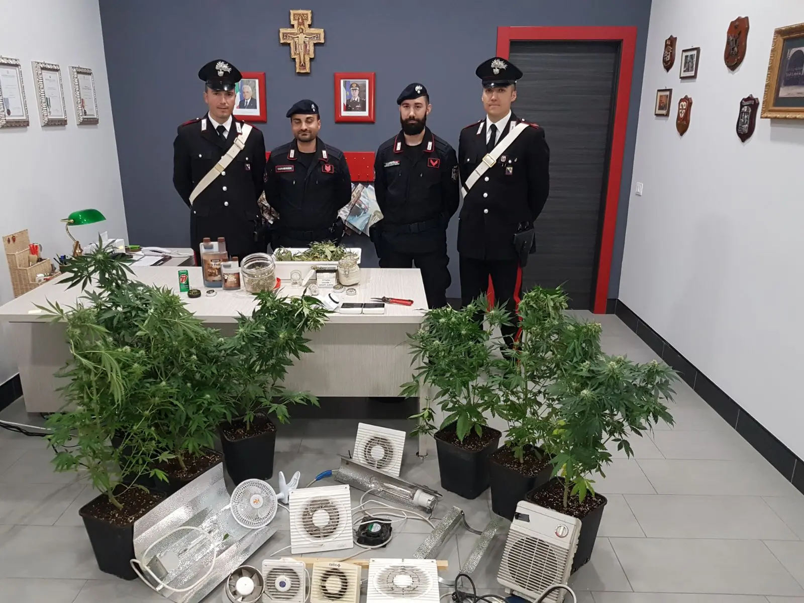 Mirto Crosia, coltivava la marijuana dentro casa: arrestato dai carabinieri