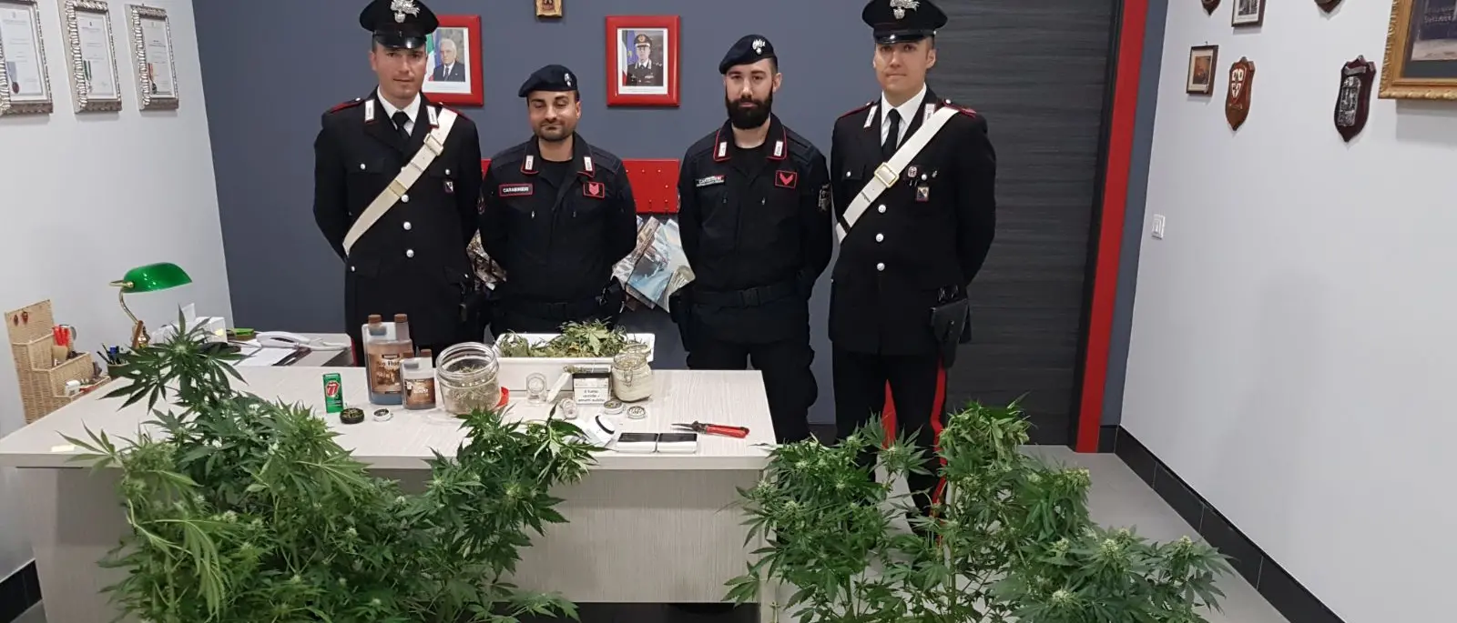 Mirto Crosia, coltivava la marijuana dentro casa: arrestato dai carabinieri