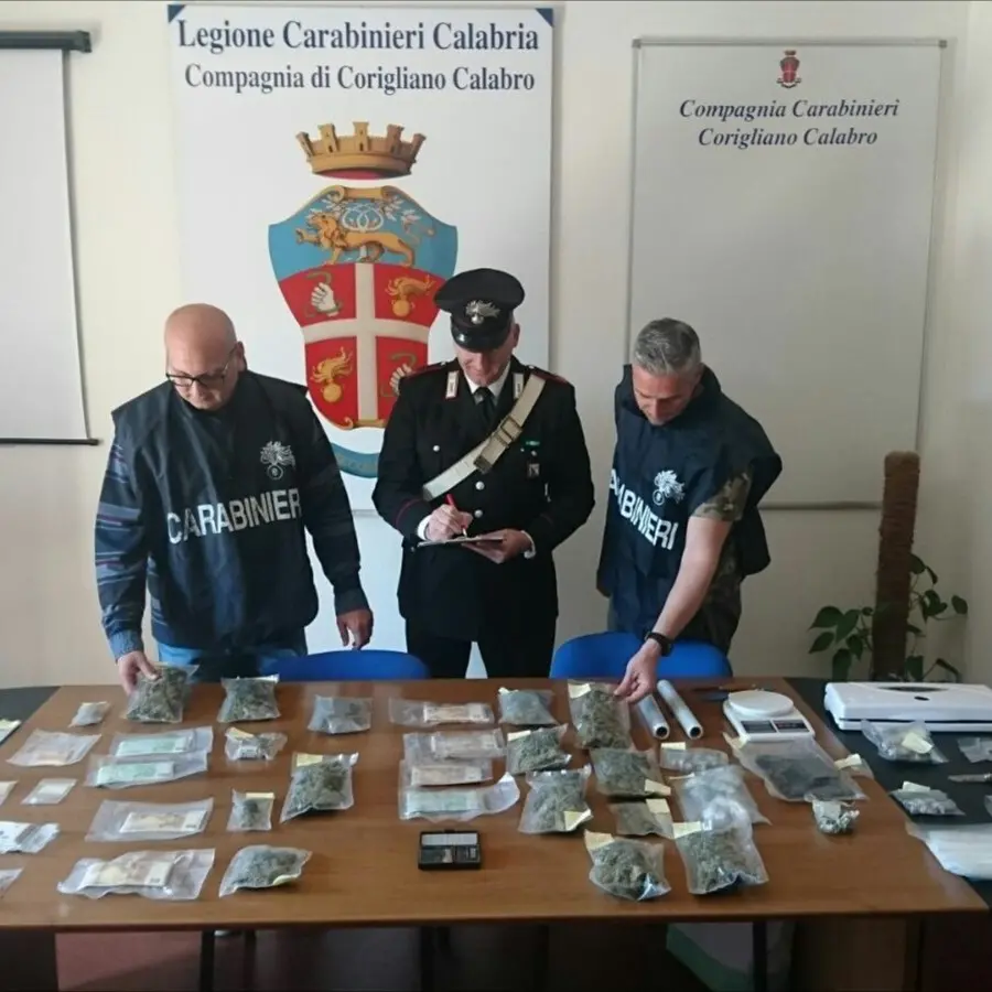 Alto Jonio Cosentino, arresti e denunce per spaccio di droga
