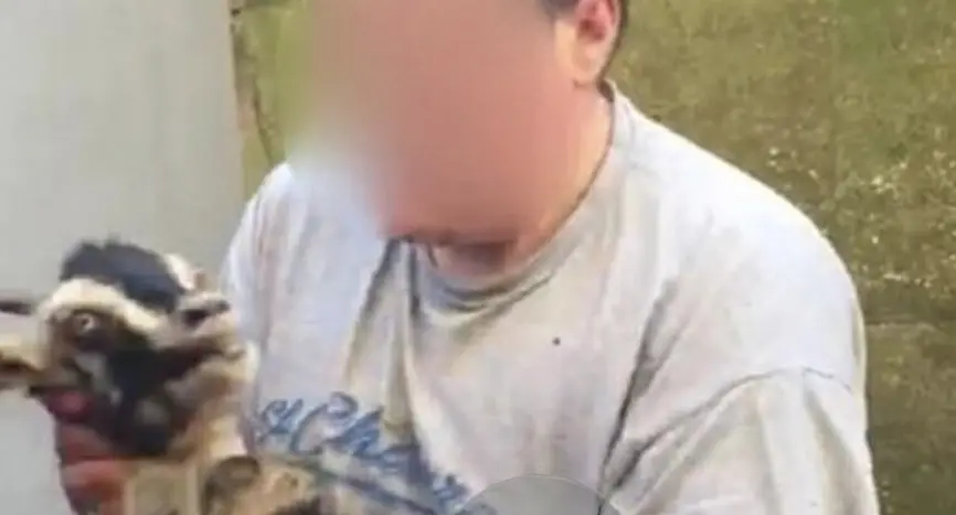Capretta massacrata ad Anoia, insorgono le associazioni animaliste. Chiara Penna: «Atto da non sottovalutare»