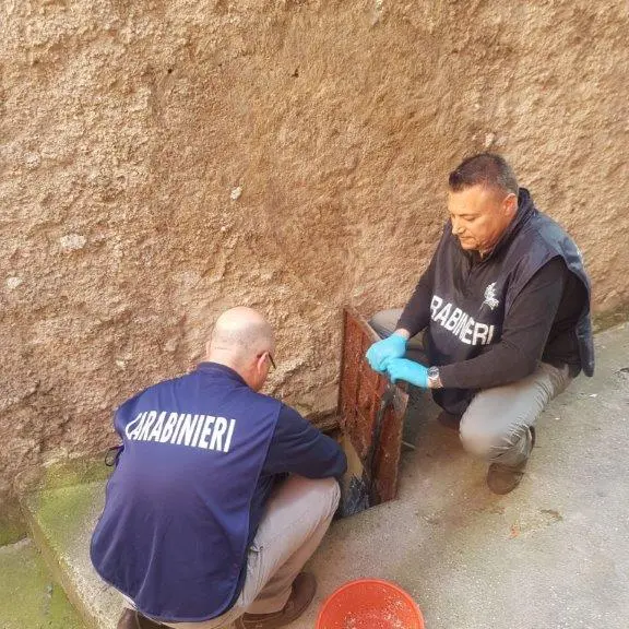 Tenta di disfarsi della cocaina gettandola nel water: i carabinieri la recuperano e lo arrestano